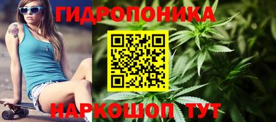 прущие грибы Бугуруслан