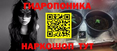 прущие грибы Бугуруслан