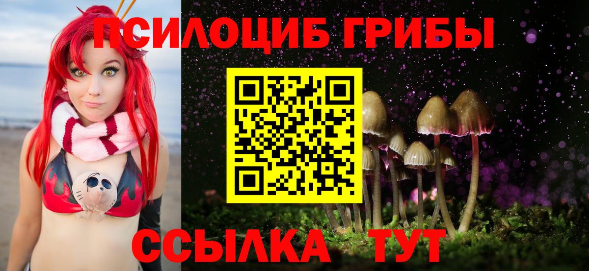 Псилоцибиновые грибы Psilocybe Элиста