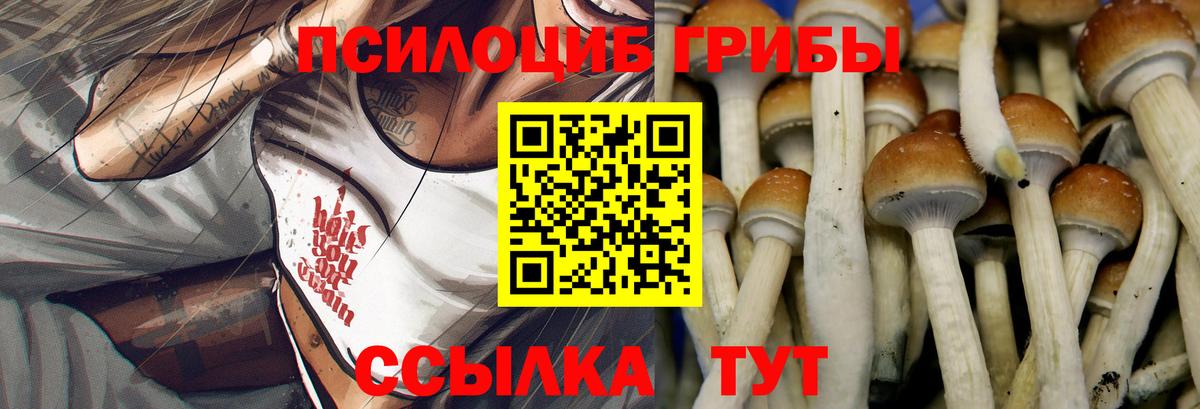 Галлюциногенные грибы ЛСД  Вход с VPN  Элиста 